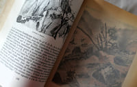 La victoire sous le signe des trois croissants - Tome 1 La vie, les peines et les gloires de la troisième division d'Infanterie Algérienne en Italie - Préface Juin - Tome 2 La vie, les peines et les gloires de la troisième division d'Infanterie algérienne en France et en Allemagne - préface du Général de Lattre de Tassigny
- Editions Pierre Vrillon Alger 1946/1948