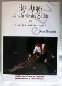 Les anges dans la vie des saints ou sous la garde des anges - Collection Prière et Dévotion - Editions Saint-Jean Librairie chrétienne 2014