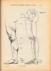 Introduction a l 'Etude de la Figure Humaine.. RICHER, Paul Marie Louis Pierre (1849-1933).