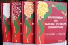 Encyclopdie des Plantes et Fleurs Mdicinales, Polynesie-France. Preface de Charles Tetaria.. OURY, Paul