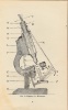 The Microscope. A simple handboek. First edition.. BECK, Conrad.