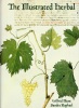 The Illustrated Herbal.. BLUNT, Wilfrid & Sandra RAPHAEL.