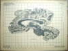 Atlas Anatomicum Cerebri Humani. 168 cuts through the Human Brain.. JELGERSMA, Gerbrandus (1859-1942).
