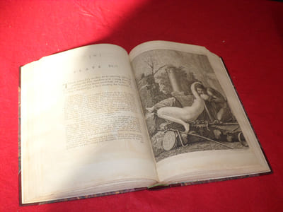 The Antiquities of Herculaneum, translated by Thomas Martyn and John Lettice.
