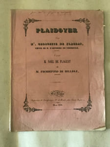 Plaidoyer pour Mme Georgette de FLAGEAT veuve de M. D’ARTINSEC de VERNEUILH, contre M. Noel de FLAGEAT et M. FROIDEFOND DE BELLEISLE.