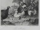 LE MATIN(Pigeons, dindons, canards, poules, volailles). Eugène ABOT, aquafortiste d'après Melchior d'HONDECOETER 