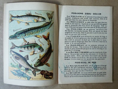 Alphabet Syllabaire des Poissons de Mer et Poissons d'Eau Douce. Série A.. Chromolithographie.