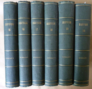 Oeuvres Complètes De Buffon revues par M.A. Richard, professeur à la Faculté de Médecine de Paris avec la classification comparée de Cuvier, Lesson et ...