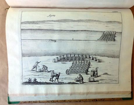 Recueil d'Ouvrages Curieux de Mathématique et de Mécanique, ou Description du Cabinet de Monsieur Grollier de Servière avec près de cent planches en ...