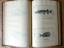 Précis D'Ichthyologie ou D'Histoire Naturelle des Poissons ou collection de figures représentant les poissons qui peuvent servir de types; dessinée ...