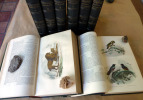 Buffon; Oeuvres Complètes en 6 volumes suivi de Lacépède, Histoire Naturelle, 2 volumes. . Buffon; Lacépède.