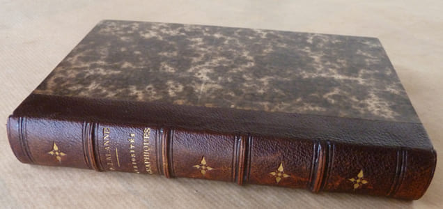 Curiosités Biographiques. Bibliothèque de Poche par une Société de Gens de Lettres et d'Erudits.