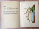  Flower Arrangements of the Ohara School. Vol. 1. New Edition.. Houn Hoara.