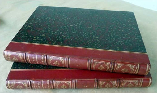 Histoire Religieuse et Monumentale du Diocèse d'Agen depuis les temps les plus reculés jusqu'à nos jours comprenant la partie des diocèses circonvoisins autrefois renfermés dans l'Agenais enrichie de lithographies à deux teintes et d'un grand nombre de sujets iconographiques.