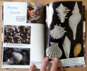Collectible Shells of Southeastern U.S. Bahamas & Caribbean.. Tucker Abbott (R. Ph. D.).