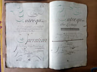 Exercice de Calligraphie du XVIIIème siècle ayant pour thème la comptabilité d'une association en société commerciale. Les exemples sont une entreprise de traffic d'esclave; une autre de commerce de blé; la question des monnaies étrangères...
