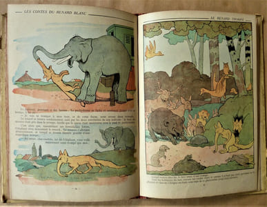 Les Contes du Renard Blanc.