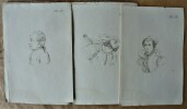 Histoire des Penchans et des Sentimens de l'Homme d'après Gall. . Anonyme