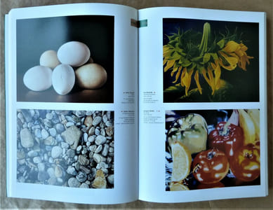 Salon d'Automne 2001.