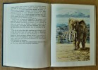 Les Eléphants et leur grand-mère et Autres histoires d'Animaux.... Trémolin (Jacques).