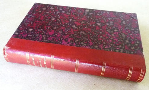 Journal d'un flaneur. Nouvelle édition.