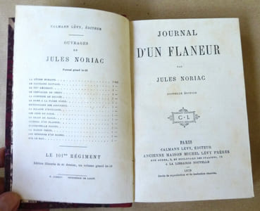 Journal d'un flaneur. Nouvelle édition.