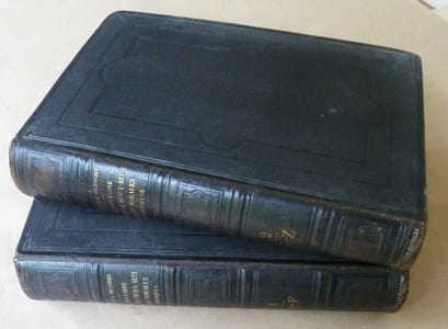 Dictionnaire Général des Lettres, des Beaux-Arts et des Sciences Morales et Politiques