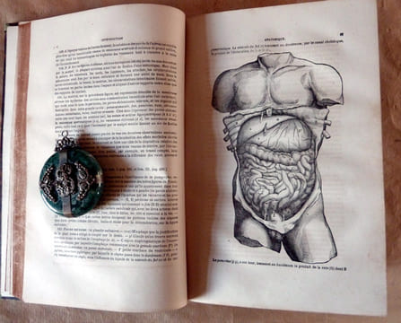 Histoire Naturelle de la Santé et de la Maladie chez les végétaux et chez les animaux et en particulier chez l'Homme.. Raspail (F.-W.).