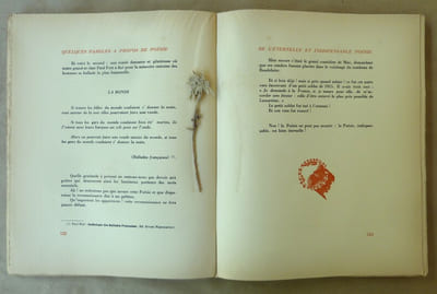 Quelques Paroles à propos de Poésie. Aux poètes morts à la guerre-De l'éternelle et indispensable poésie-Du poète-Comment s'exprime le poète.
