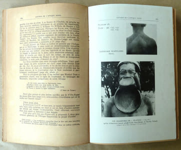 Satyres Illustrées de l'Afrique Noire.