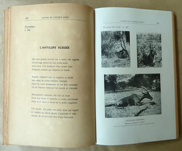 Satyres Illustrées de l'Afrique Noire.
