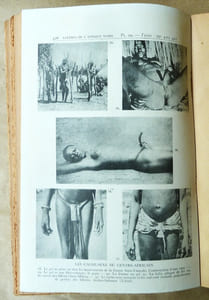 Satyres Illustrées de l'Afrique Noire.