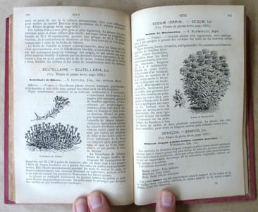 Supplément aux Fleurs de Pleine Terre comprenant la description, la culture... depuis la dernière édition de 1870.