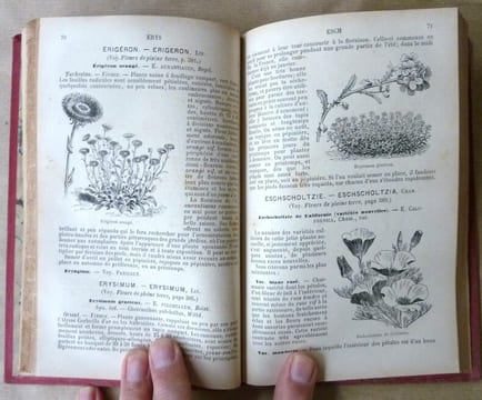 Supplément aux Fleurs de Pleine Terre comprenant la description, la culture... depuis la dernière édition de 1870.. Vilmorin-Andrieux et Cie.