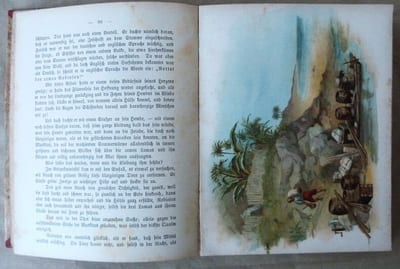 Robinson der Jungerer.für das folk und die jugend neu bearbeitet von ... Von Horn... (Robinson Crusoë pour la jeunesse).