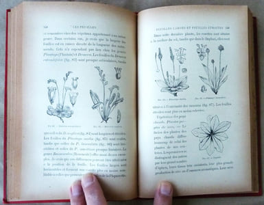 La Vie des Plantes.