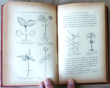 La Vie des Plantes.