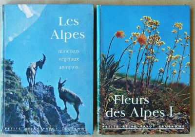 Fleurs des Alpes I.