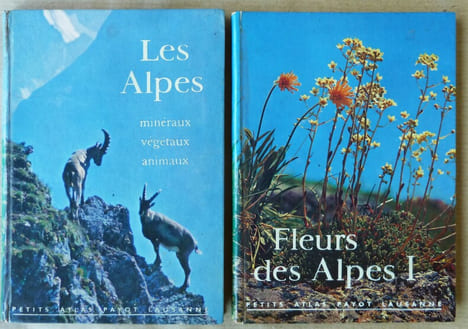 Fleurs des Alpes I.. Rytz (Walter).