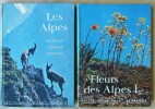 Fleurs des Alpes I.. Rytz (Walter).