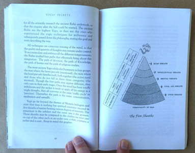 Yogis'Secrets. A Compilation of Teachings on How to attain Radian Health.