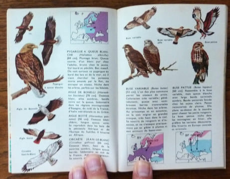 Oiseaux D'Europe.. Bruun (Bertel).