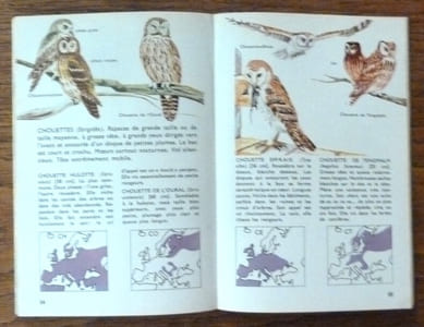 Oiseaux D'Europe.