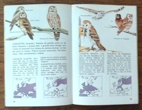 Oiseaux D'Europe.. Bruun (Bertel).