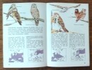 Oiseaux D'Europe.. Bruun (Bertel).