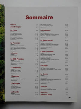 SANGLIER. DESENFANT Guillaume.