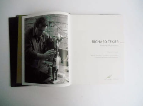 RICHARD TEXIER . TERRITOIRE D'HYBRIDATION.. undefined