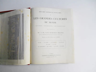 LES GRANDES CULTURES DU MONDE.Le riz - la vigne - le froment - le cacao - le café - le thé - le quinquina - le tabac - le sucre - le maïs .