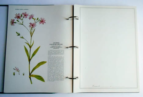 L' HERBIER DE LA BRETAGNE.. PACCALET Yves