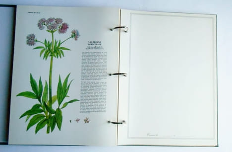 L' HERBIER DE LA BRETAGNE.. PACCALET Yves